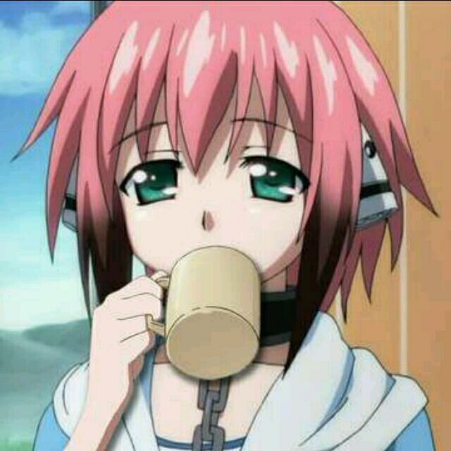 [本群最弱v6]